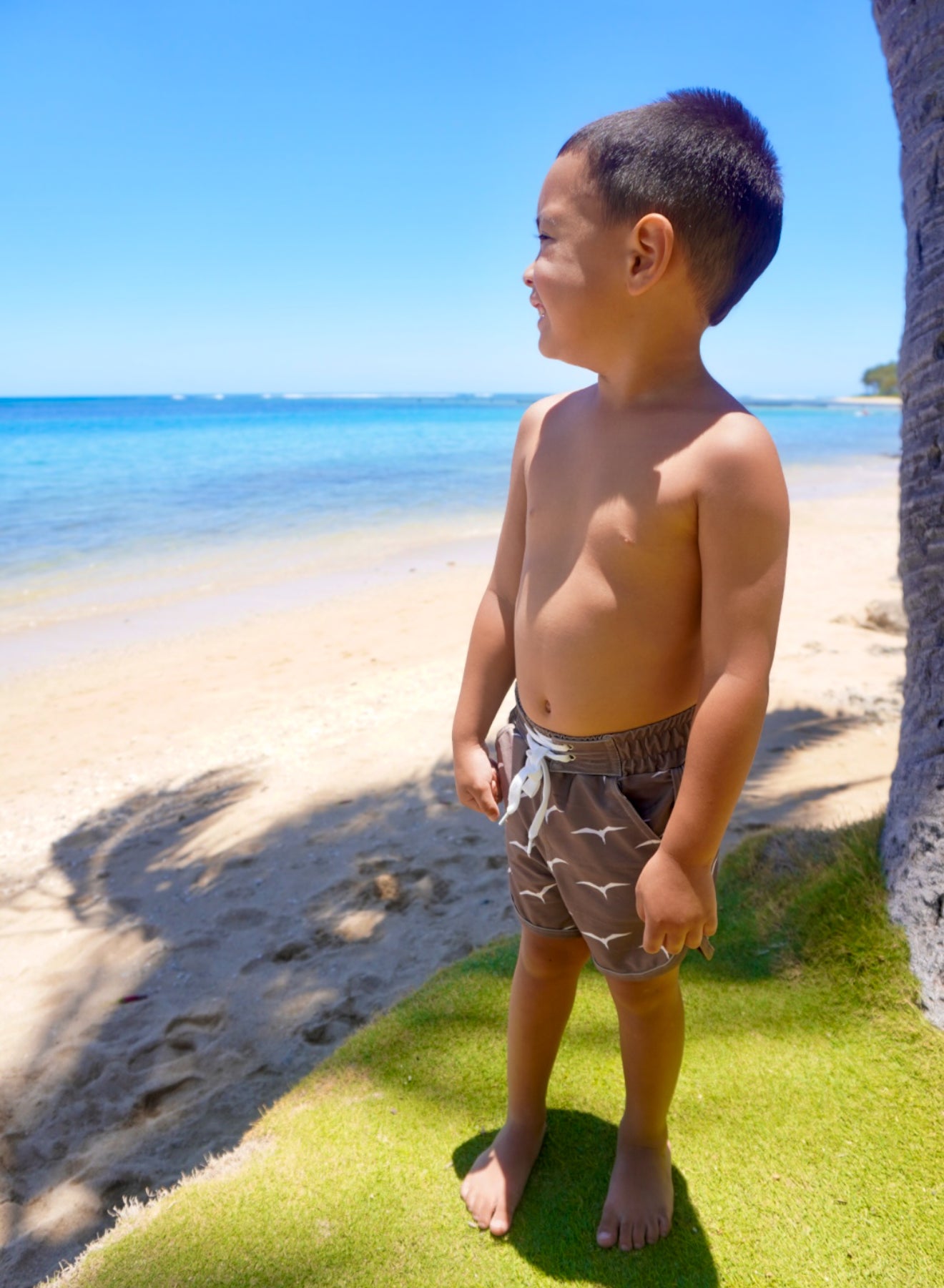 Kia‘i ‘Anywea’ Shorts